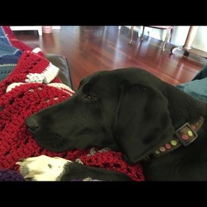 Meet your Posher, Jana